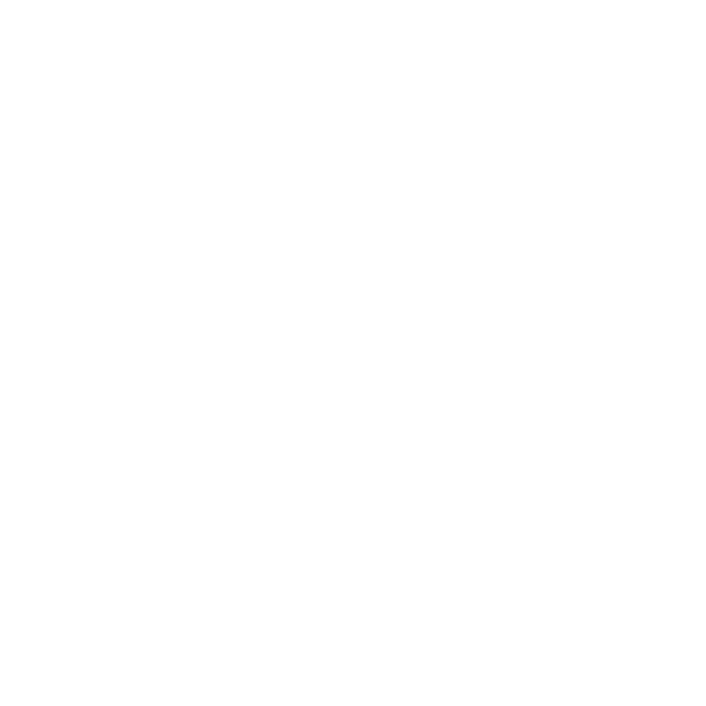 SpaceX 标志